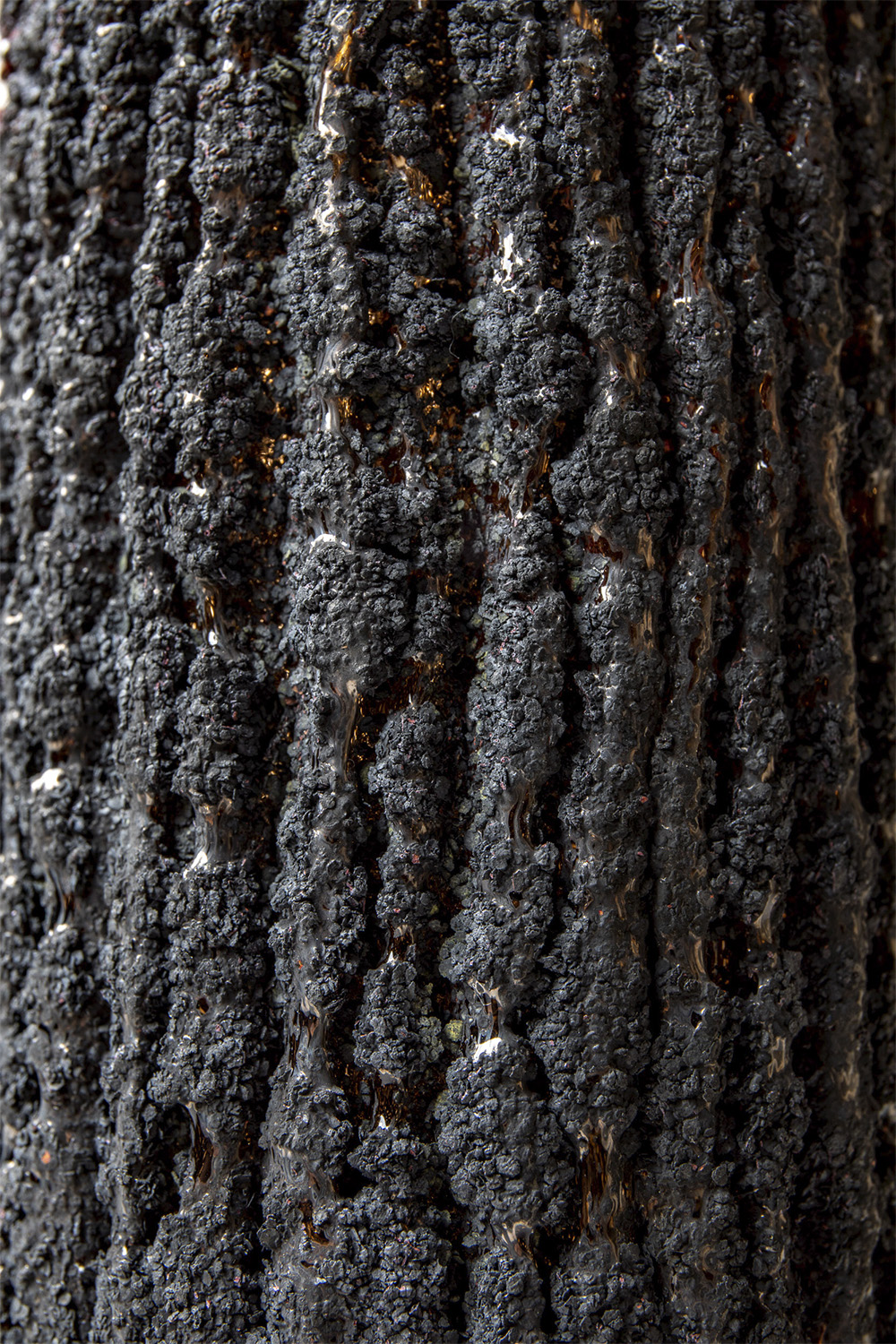 Michela Cattai, Linfa surface texture – Murano glass